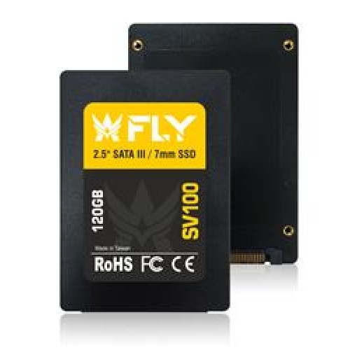 Fly 120GB 2.5