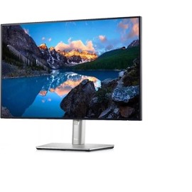 Dell 24.1