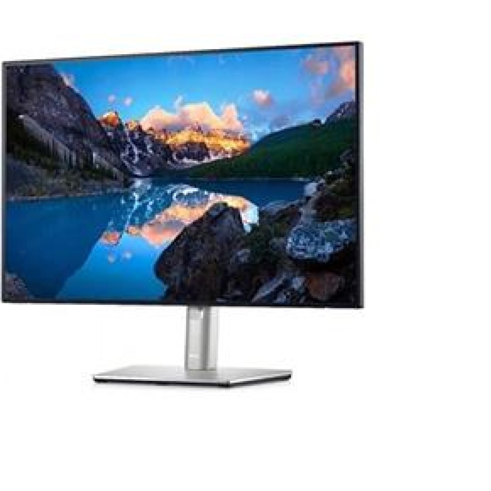 Dell 24.1