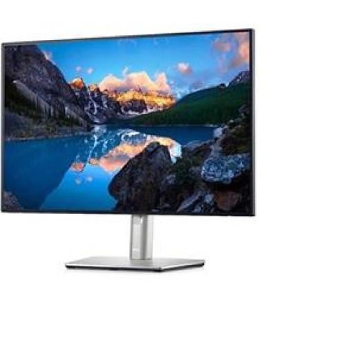Dell 24.1