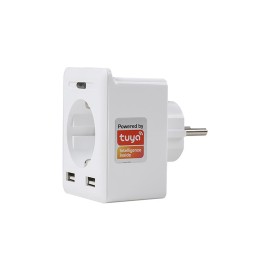 S-Link Swapp SL-04 10A Akım Korumalı Akıllı Priz 2 USB 2.4 Ghz Wifi TUYA Destekli