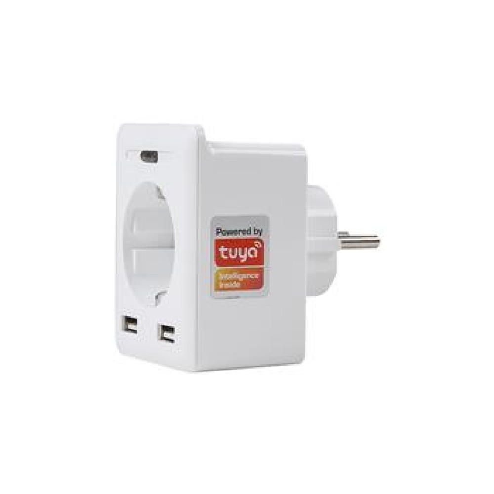 S-Link Swapp SL-04 10A Akım Korumalı Akıllı Priz 2 USB 2.4 Ghz Wifi TUYA Destekli