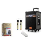 Torima LT-910 Kablosuz 2 Mikrofonlu Kablosuz Hoparlör