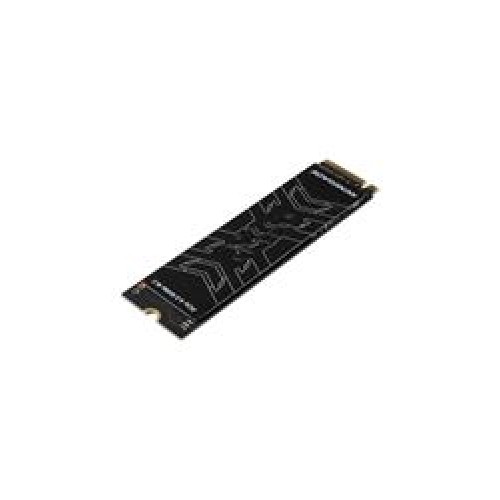 Kingston 1TB Renegade SRNGS-1000G Nvme M.2 7300MB- 6000MB SSD 