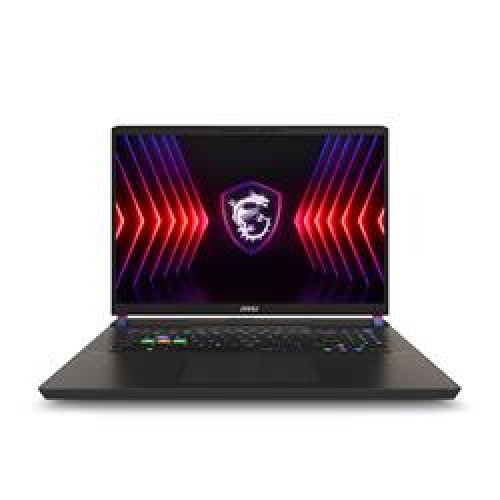 Msı Vector 17 HX A13VIG-674XTR i9-13980HX 32GB 1TB SSD 16GB RTX4090 17 QHD+ 240Hz FreeDOS Notebook