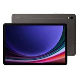 Samsung Galaxy Tab S9 Ultra SM-X910 Gri 512 GB 14.6