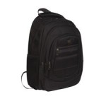 Plm Case Cosmic 17
